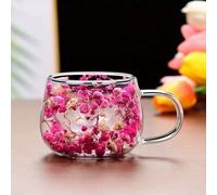 Double Wall High Borosilicate Clear Glass Cup, Dried Flowers Coffee Mug with Handle, Restaurant Clear Glass Cup(Style 1)