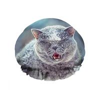 Double Waterproof Bathing Shower Cap Deep Snow Winter Cute Meowing Cat Walking Outdoors Reusable Fashion Shower Hat For Women Beauty, BathHair Spa, Home Hotel Travel Use