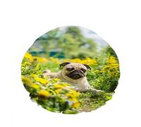 Double Waterproof Bathing Shower Cap Pug Lie Bright Yellow Carpe Grass Flower Sky Reusable Fashion Shower Hat For Women Beauty, BathHair Spa, Home Hotel Travel Use