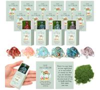 DoubleFill 12 Set Emotional Support Gifts Bulk Positive Crystal Turtle Inspirational Gifts for Employee Teachers Students Emotional Mental Health Care CNA Week Graduation