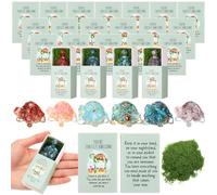 DoubleFill 24 Set Emotional Support Gifts Bulk Positive Crystal Turtle Inspirational Gifts for Employee Teachers Student Desk Pets Cute Resin Mini Ornaments Encourage Card Box Office Pocket Favors