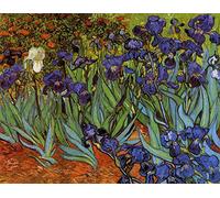 DOUBLETOP Irises- Vincent Van Gogh -1000 Piece Artwork Oil Painting Cardboard Jigsaw Puzzles for Adults Child Brain Teasers Toys Home Photo Frame Wall Decoration Puzzles Finished Size 50x70 cm
