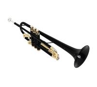 DOUDINGMAO Standard Trumpet with Storage Case Brass Student Trumpet Professional Instruments for Beginner or Advanced Student
