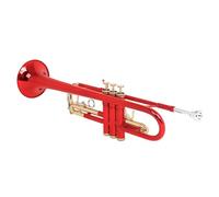 DOUDINGMAO Standard Trumpet with Storage Case Brass Student Trumpet Professional Instruments for Beginner or Advanced Student