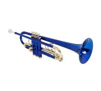 DOUDINGMAO Standard Trumpet with Storage Case Brass Student Trumpet Professional Instruments for Beginner or Advanced Student
