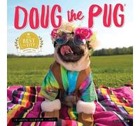 Willow Creek Press, Doug the Pug 2027 7" x 7" Mini Wall Calendar