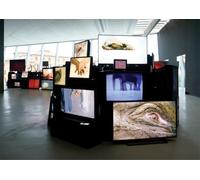 Douglas Gordon: Pretty much every film and video work from about 1992 until now’ish…