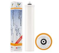 Doulton 10" Fluoride Reduction Cartridge |1 Pack| Drinking Water Ceramic Candle Filter |1/4" BSP Thread Fitting | for Duo & Trio Undercounter Systems | Reduces Contaminants | Improves Taste & Odour
