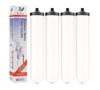 DOULTON ¦ W9123053 ¦ 10" UltraCarb ¦ Authentic Drinking Water Ceramic Replacement Candle Element Filter ¦ 9501 ¦ White ¦ NSF Certified ¦ BSP Thread ¦