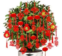 Doumeny 58PCS Chinese New Year Decorations Set 2023 Spring Festival Mini Hanging Rabbit Pendant Chinese Knot Small Red Lantern Good Luck Fu Ornaments for New Year Office Home Tree Outdoor Indoor Decor