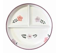 DouYuan Divided Plates Ceramic, 8 inch Round Portion Control Plates for Adults Porcelain, Diet Dinner Plate with Compartments for Dessert Salad Steak Sushi Spaghetti