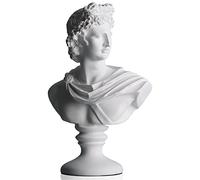 DOVDOV David Statue Bust, Greek David Statue Bust Statue and Sculpture, Modern Home Decor, Perfect for Living Room, Office, Bookcase, Home Entrance, Teaching Room Filling