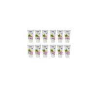Dove Hand Cream Matcha Tea - Awakening Ritual 75ml (Pack of 12)