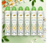 Dove Limited Edition Bridgerton Love & Meadows 72h Antiperspirant Deodorant Spray 200ml 6 Pack
