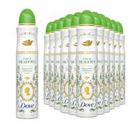 Dove Limited Edition Bridgerton Love & Meadows Aerosol Deo Spray 12x200ml