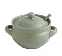 Dowbom Soup Bowls With Lid, French Onion Soup Crocks Oven Safe, Microwave Soup Bowl With Spoon, Soup Mug (Green,14oz), BL-SP-002