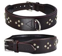 DowgClub Genuine Leather ‘Cupola’ Series Dog Collar | Rhinestone | Soft, Cushion Padding, Handmade | Best for Medium, Large, XL Breeds (M (Neck Size 14.5"-18.5"), Silver Rhinestones, Crimpson)