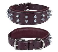 DowgClub | Genuine Leather Spike Dog Collar | Full Grain, Heavy Duty | Padded, Comfortable, Strong, Best for Large, X-Large Breeds | 2" Wide (M (Fit Neck Size 14.5"-18.5"), Cherry - Silver Spikes)
