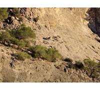 Down a Different Path