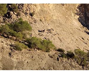 Down a Different Path