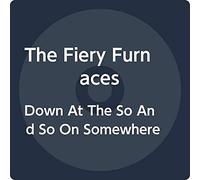 The Fiery Furnaces - Down At The So And So On Somewhere [VINYL]