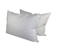 Down Dreams Classic King Pillow Set of 2
