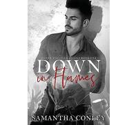 Down in Flames: Volume 1 (Silver Tongued Devils Series)