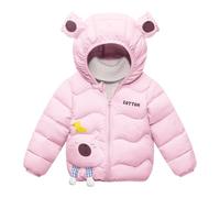 Down Jacket Boy,Boys Winter Down Jacket with Hood for Kids and Toddlers Warm Insulated Outerwear Tough Holiday Winter for Daily Casual Wear (3-4 Years)