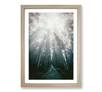 Down the Forest Path in Abstract Framed Print | A2 Oak Framed Wall Art | Ready to Hang | Abstract Landscape Picture | Living Room Bedroom Lounge Office