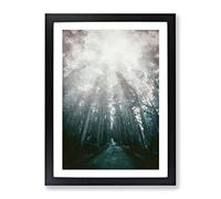 Down The Forest Path In Abstract Modern Framed Print | A3 Black Framed Wall Art | Ready to Hang | Abstract Landscape Picture | Living Room Bedroom Lounge Office