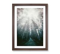 Down The Forest Path In Abstract Modern Framed Print | A4 Walnut Framed Wall Art | Ready to Hang | Abstract Landscape Picture | Living Room Bedroom Lounge Office