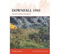 Downfall 1945: The Fall of Hitler’s Third Reich: 293 (Campaign)
