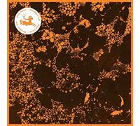 Downliners Sekt - Silent Ascent