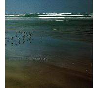 Downpilot - The Forecast [VINYL]