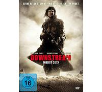 Downstream - Endzeit 2013