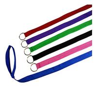 Downtown Pet Supply 6 Foot Slip Lead, Slip Leads, Kennel Leads Bulk Dog Leashes with O Ring for Dog Pet Animal Control Grooming, Shelter, Rescues, Vet, Veterinarian, (6 Pack, Colors: Various)