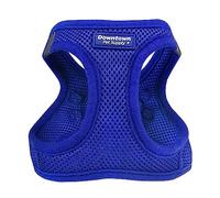 Downtown Pet Supply No Pull, Step in Adjustable Dog Harness with Padded Vest, Easy to Put on Small, Medium and Large Dogs (Blue, M)
