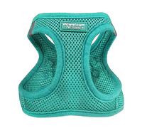 Downtown Pet Supply No Pull, Step in Adjustable Dog Harness with Padded Vest, Easy to Put on Small, Medium and Large Dogs (Bermuda Blue, XXL)