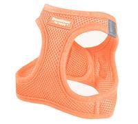 Downtown Pet Supply Step In Dog Harness For Large Dogs - Adjustable, Escape Proof Dog Harness With Reflective Trim - All Weather, Fast Drying Padded Mesh Fabric - Tangerine, X Small