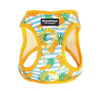 Downtown Pet Supply Step-in Dog Harness - No Pull, Adjustable Padded Mesh with Reflective Trim, Secure Buckle Strap - Comfortable & Breathable Small Dog Harness, X-Small, Pineapple