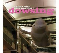 DOWSING - Dont Even Care Anymore
