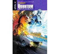 Doyle, Ming - Quantum and Woody Volume 2: In Security (QUANTUM & WOODY TP)