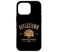 Doylestown Pennsylvania Vintage Distressed Design Souvenir Case for iPhone 16 Pro