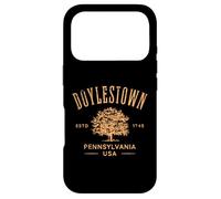 Doylestown Pennsylvania Vintage Distressed Design Souvenir Case for iPhone 17 Pro