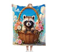 Dozrmey Blanket Unisex 30x40 Inch Animal Raccoon, Ultra Soft Toddlers Flannel Plush Blankets for Boy Girl, Unisex Breathable Kids Blanket 30" x 40" for Gift Birthday Party D209