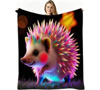 Dozrmey Flannel Bed Blanket Colourful Hedgehog, 60x80 Inch 3D Print Flannel Throw Large Enough for Double Bed Couples and Spreading on Large Sofas, Extra Warm and Soft for Master Bedroom, AW2002