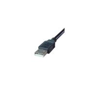 DP Building Systems 26-2930. Cable length: 10 m. Connector 1: USB A Connector 2: USB A USB version: USB 2.0 Maximum data transfer rate: 0.48 Gbit/s Product colour: Black