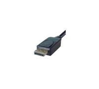 DP Building Systems 26-6120 video cable adapter 2 m DisplayPort DVI-D Black