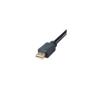 DP Building Systems 26-7193 video cable adapter 2 m Mini DisplayPort DVI-D Black