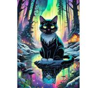 DPHERO Black Cat Diamond Painting Kits for Beginners Adults,5D DIY Aurora Borealis Diamond Art Kits,Round Full Drill Diamond Painting Art,DIY Painting by Numbers Diamond Art Painting 12x16 inch